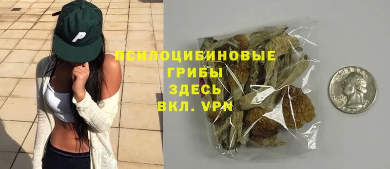 Псилоцибиновые грибы Magic Shrooms  как найти закладки  Кировск 